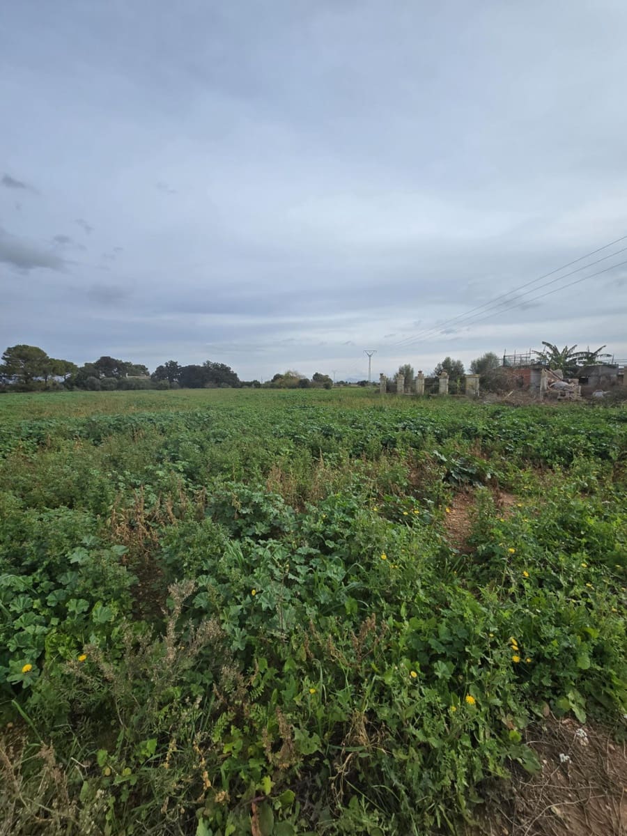 3 soveværelse Finca/Landehus til salg i Buger - € 250.000 (Ref: 9440113)