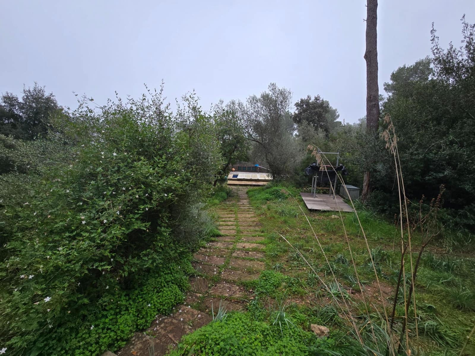 4 bedroom Finca/Country House for sale in Banyalbufar with pool garage - € 998,000 (Ref: 9456243)