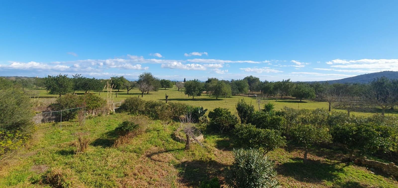 5 chambre Finca/Maison de Campagne à vendre à Selva avec garage - 923 000 € (Ref: 9470937)