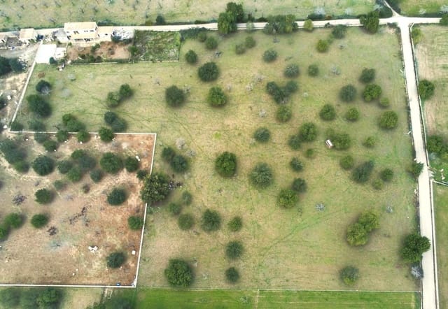 5 sovrum Finca/Hus på landet till salu i Selva med garage - 923 000 € (Ref: 9470937)