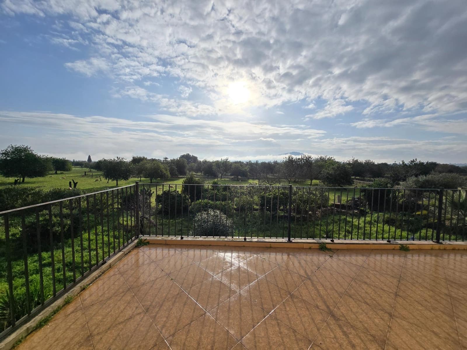 5 chambre Finca/Maison de Campagne à vendre à Selva avec garage - 923 000 € (Ref: 9470937)