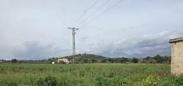 Bouwgrond te koop in Búger - € 150.000 (Ref: 9548169)