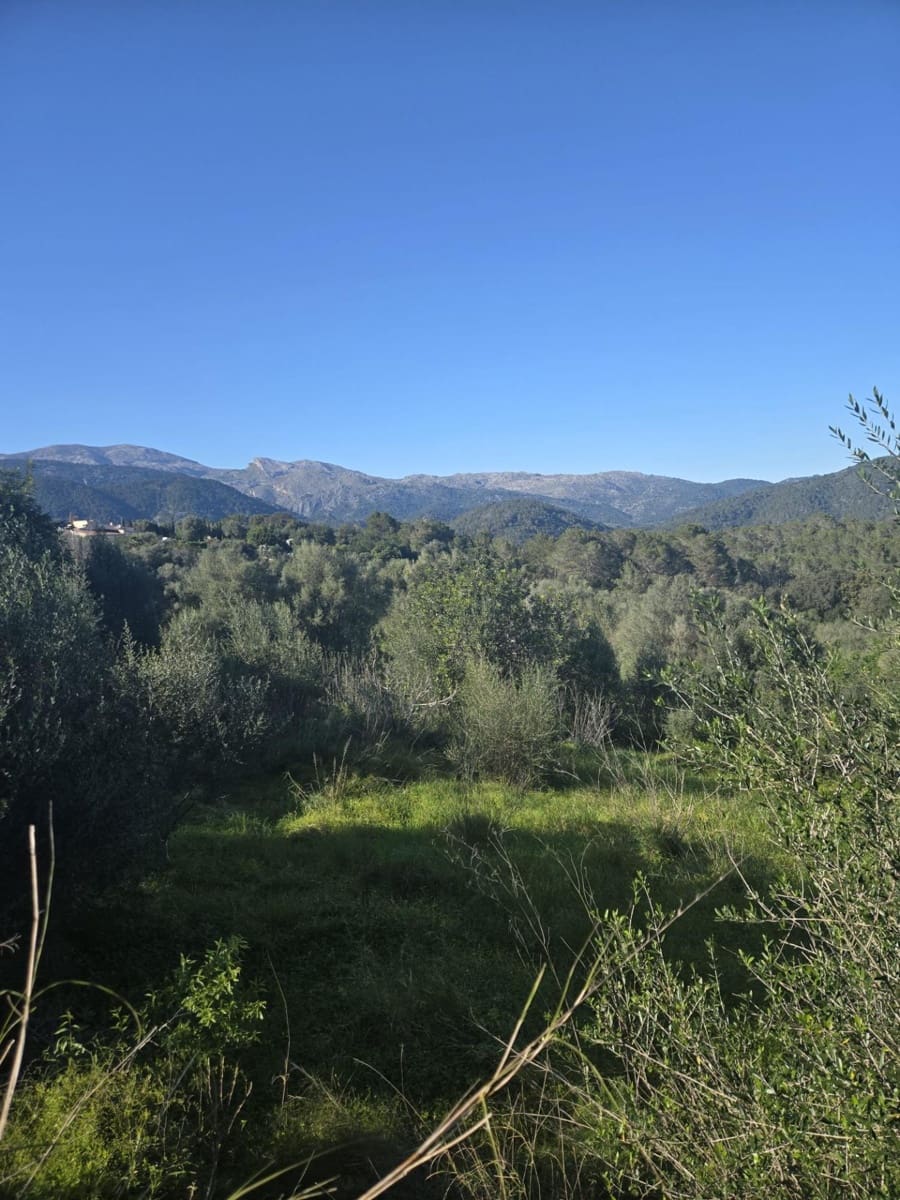 Building Plot for sale in Campanet - € 250,000 (Ref: 9839252)