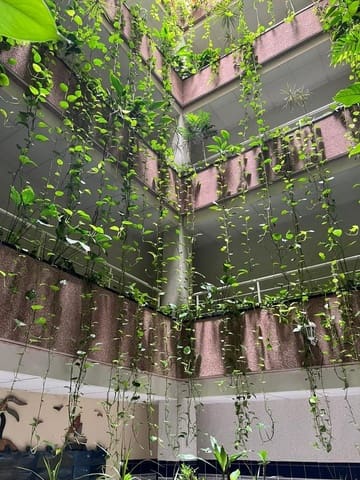 2 soverom Leilighet til salgs i Avenida Habaneras - Curva de Palangre, Torrevieja - € 182 000 (Ref: 10024233)