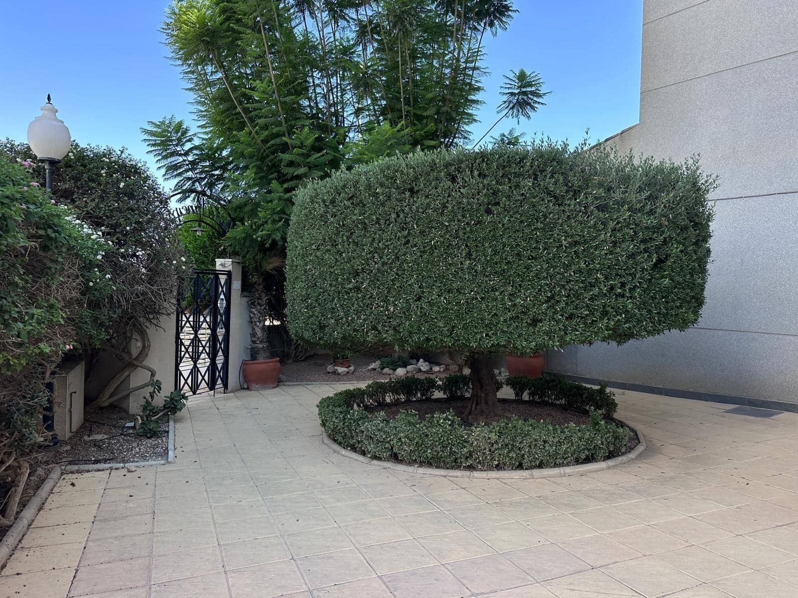 2 bedroom Apartment for sale in Guardamar del Segura with pool garage - € 165,000 (Ref: 10041231)