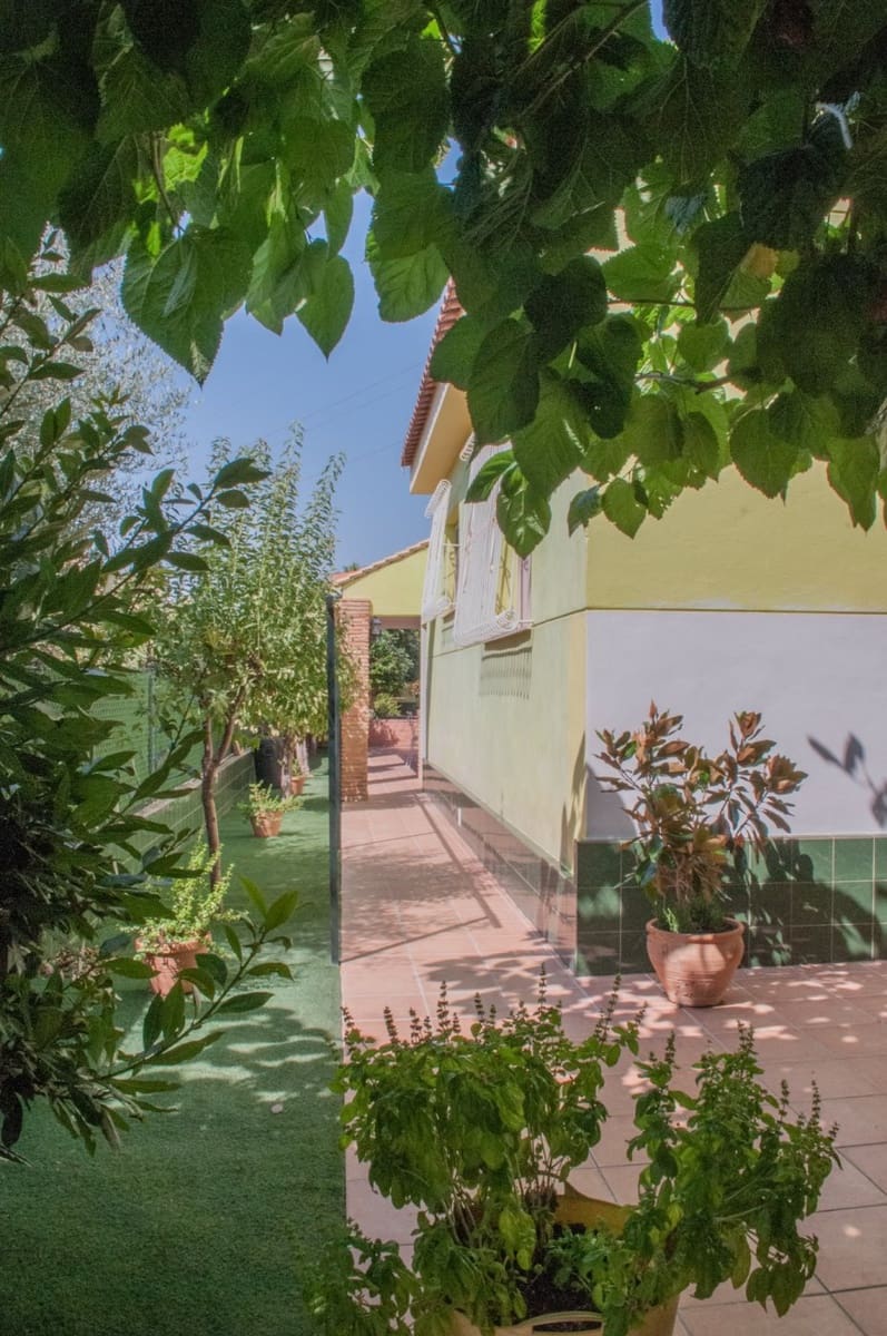 4 Zimmer Villa zu verkaufen in Ciudad Quesada mit Pool - 449.000 € (Ref: 6991803)