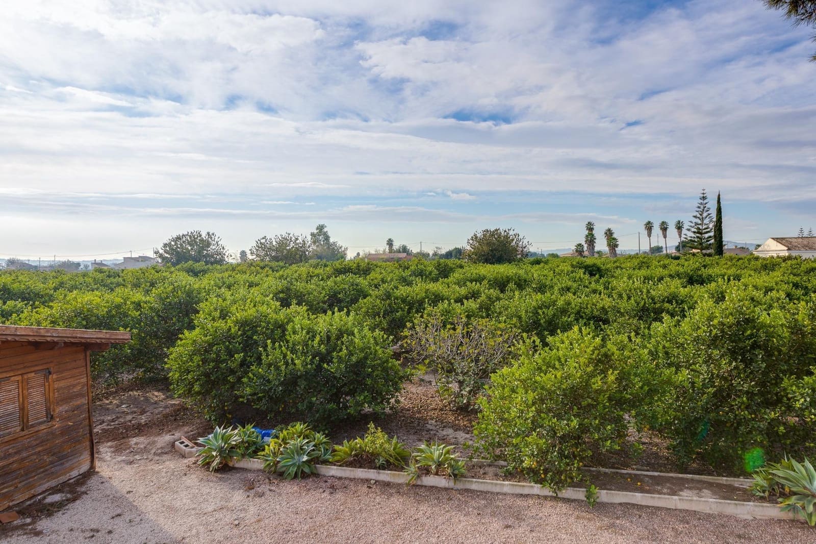 4 soveværelse Finca/Landehus til salg i Daya Nueva - € 315.000 (Ref: 7958273)