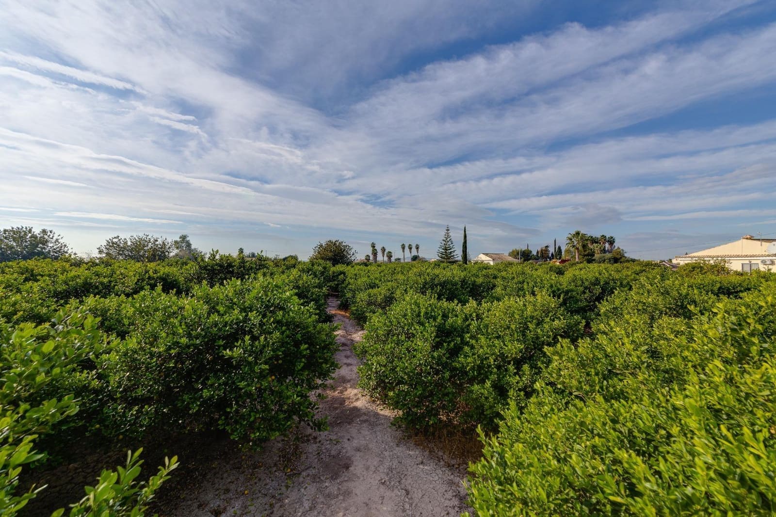 4 soveværelse Finca/Landehus til salg i Daya Nueva - € 315.000 (Ref: 7958273)