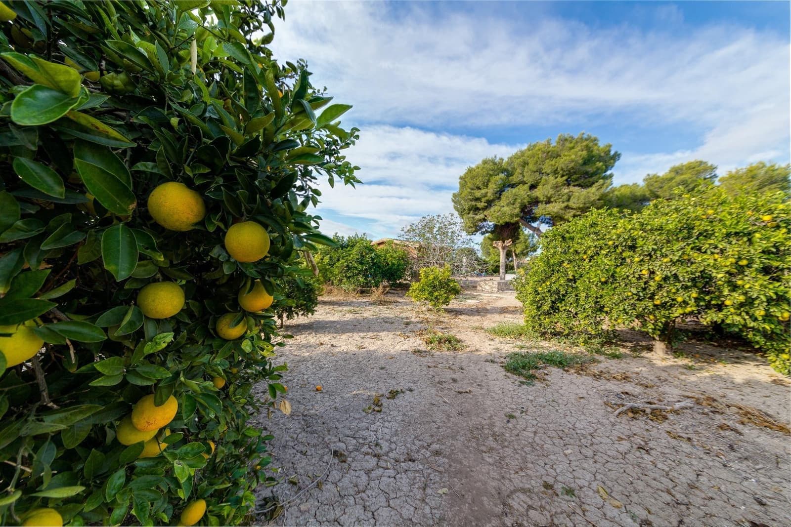 4 soveværelse Finca/Landehus til salg i Daya Nueva - € 315.000 (Ref: 7958273)