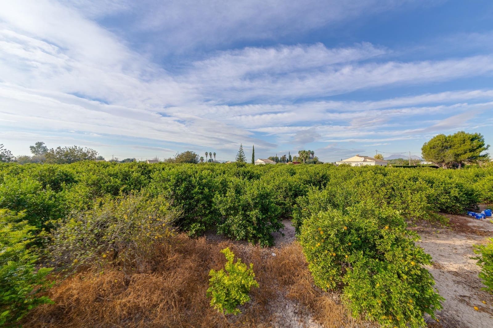 4 soveværelse Finca/Landehus til salg i Daya Nueva - € 315.000 (Ref: 7958273)