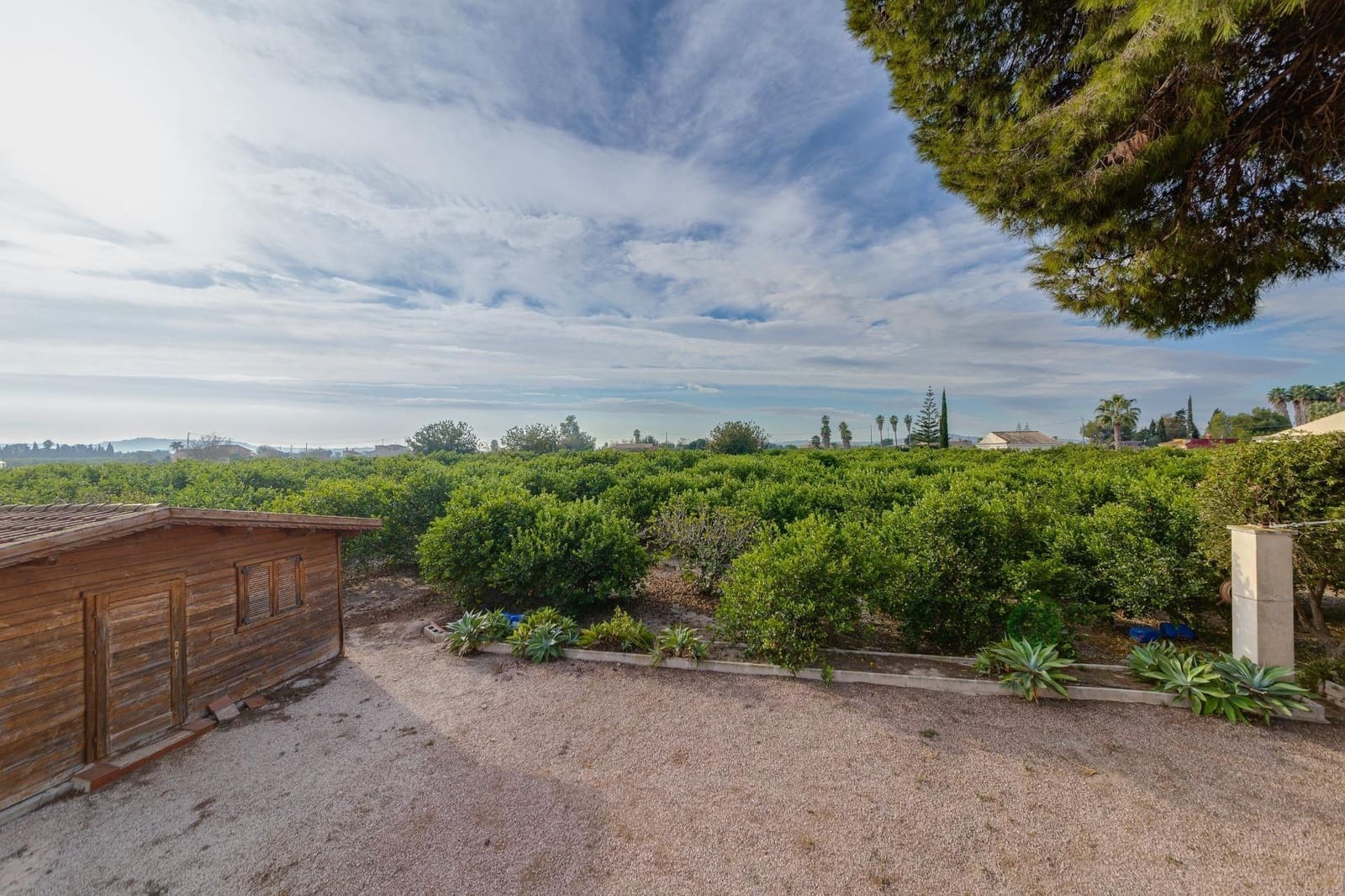 4 soveværelse Finca/Landehus til salg i Daya Nueva - € 315.000 (Ref: 7958273)