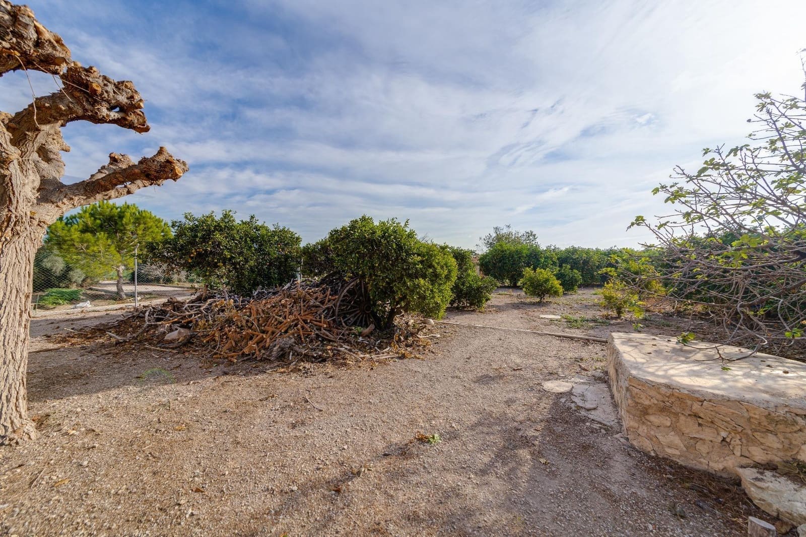 4 soveværelse Finca/Landehus til salg i Daya Nueva - € 315.000 (Ref: 7958273)