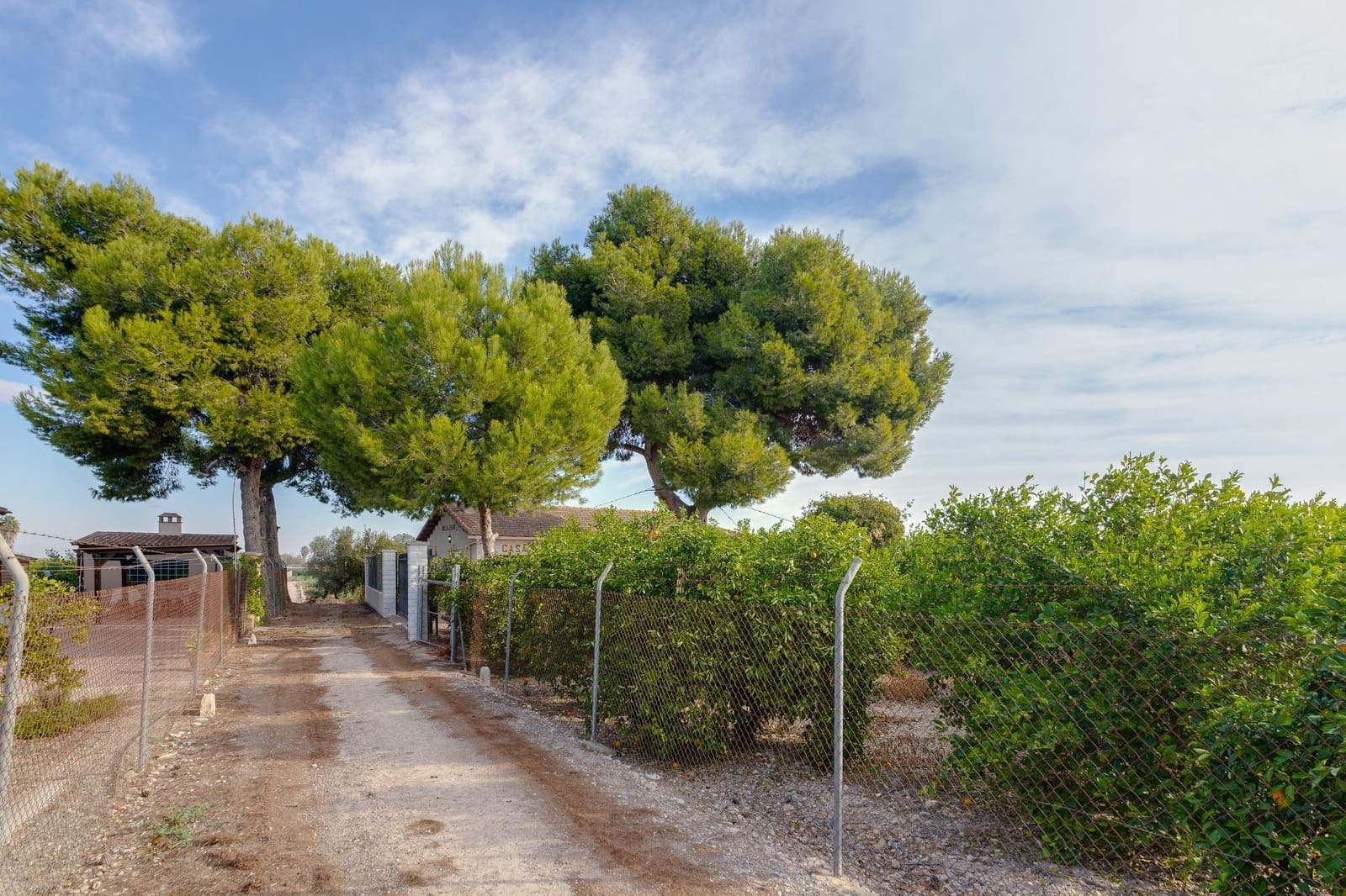 4 soveværelse Finca/Landehus til salg i Daya Nueva - € 315.000 (Ref: 7958273)