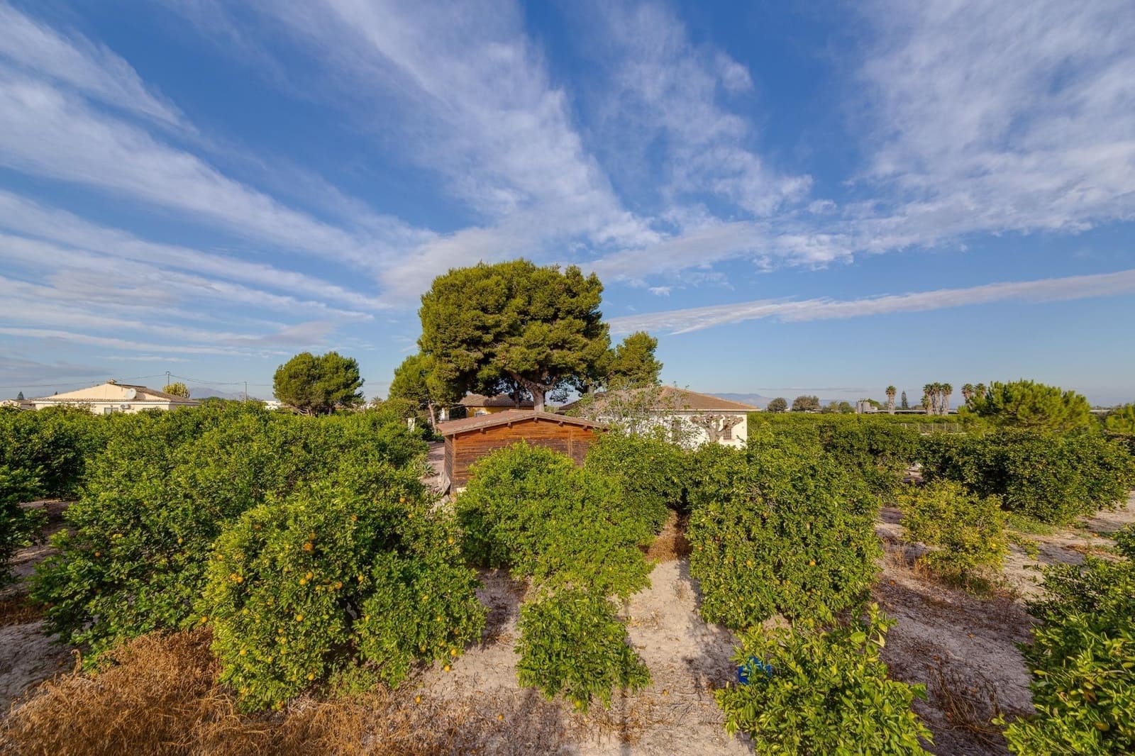 4 soveværelse Finca/Landehus til salg i Daya Nueva - € 315.000 (Ref: 7958273)