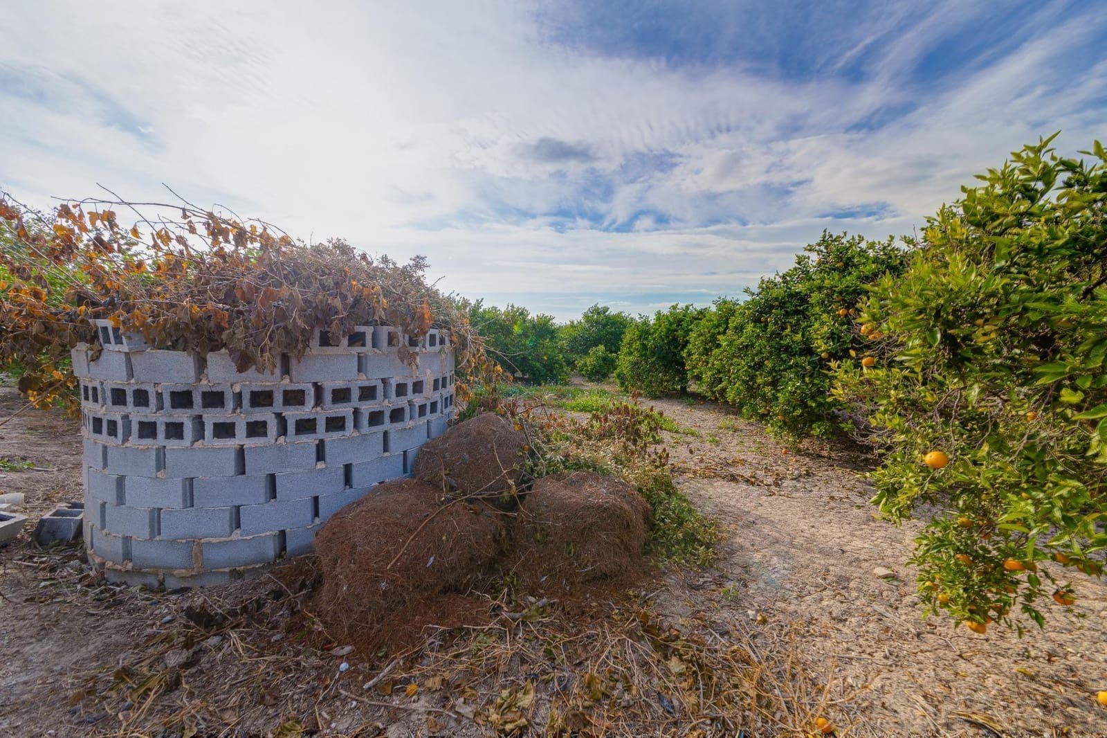 4 soveværelse Finca/Landehus til salg i Daya Nueva - € 315.000 (Ref: 7958273)