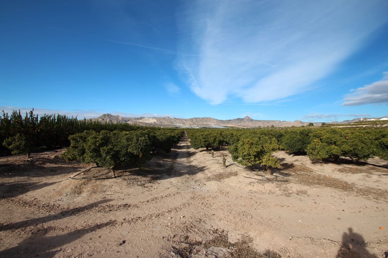 Finca/Casa Rural de 6 habitaciones en La Murada en venta - 1.499.000 € (Ref: 7596990)