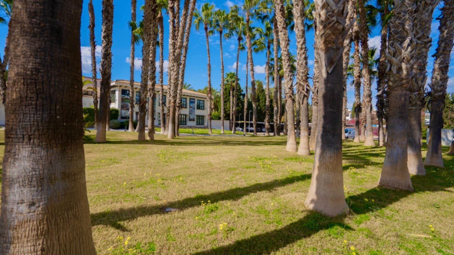 1 sovrum Lägenhet till salu i Orihuela med pool - 155 000 € (Ref: 8840230)