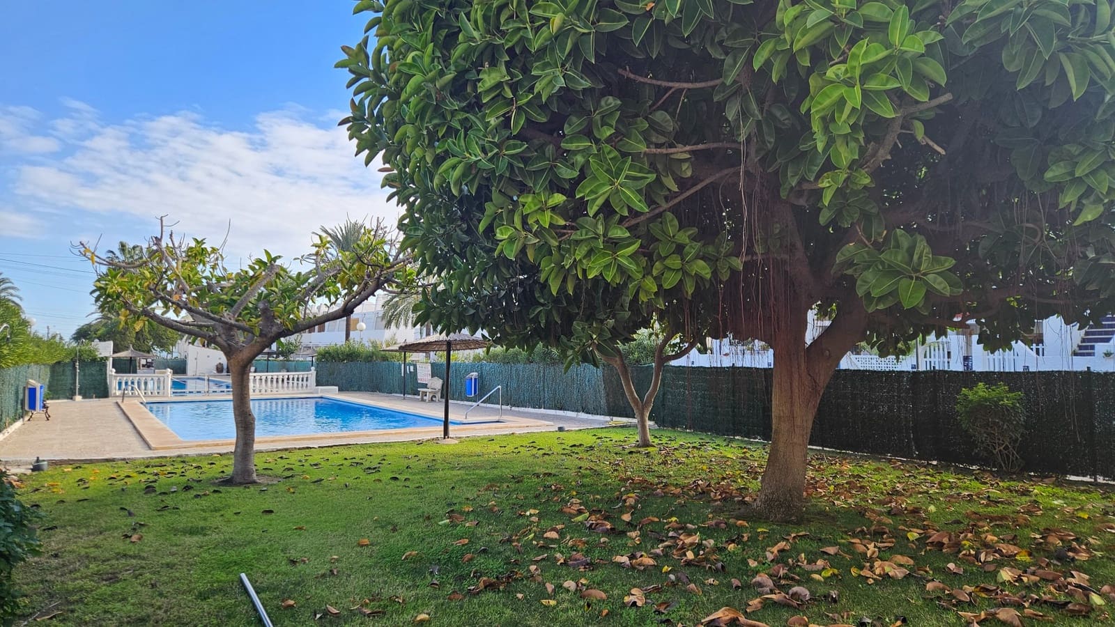 1 bedroom Apartment for sale in Torrevieja with pool garage - € 159,900 (Ref: 9546949)