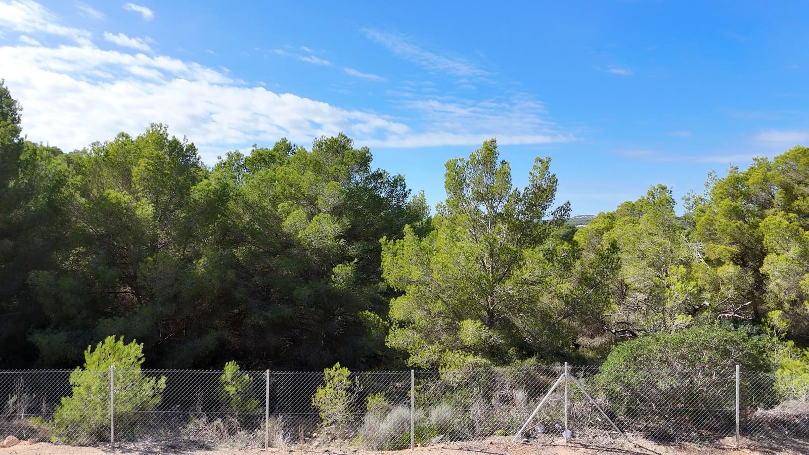 Byggegrund til salg i Cala Vinyes / Cala Vinyas / Cala Vinas - € 3.650.000 (Ref: 9558921)