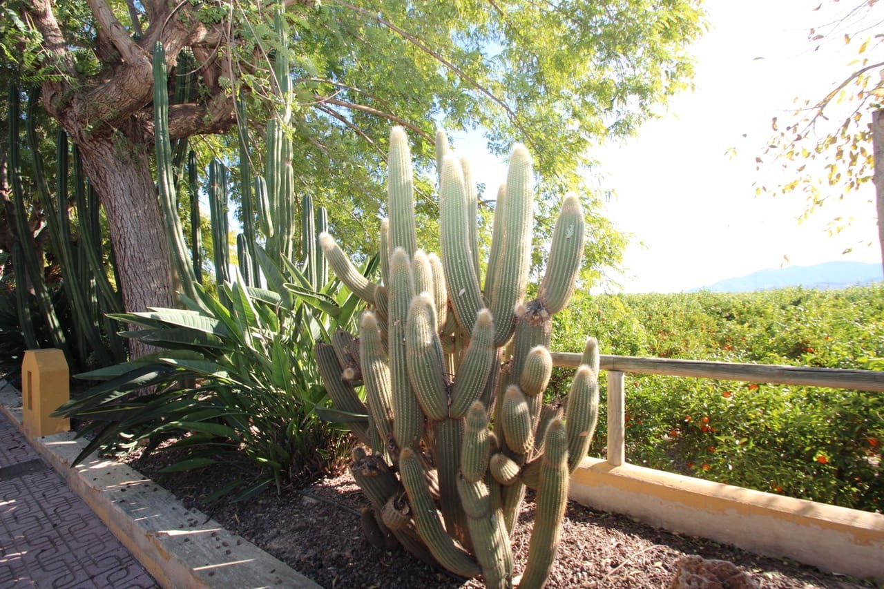 6 Zimmer Finca/Landgut zu verkaufen in La Murada - 1.499.000 € (Ref: 9558922)