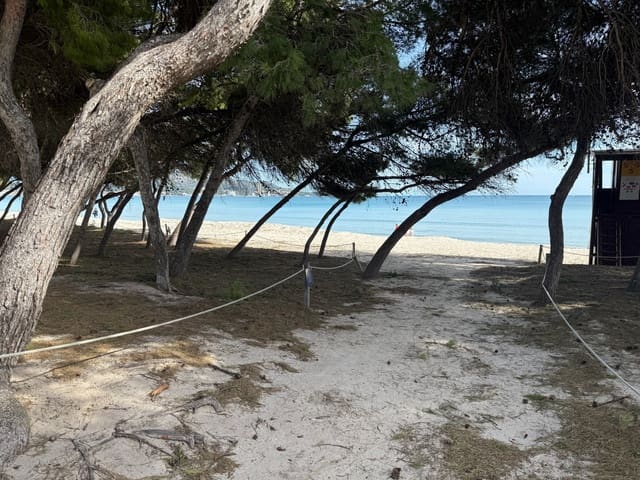 3 Zimmer Doppelhaus zu verkaufen in Platja d'Alcúdia, Alcúdia mit Pool Garage - 690.000 € (Ref: 9588126)