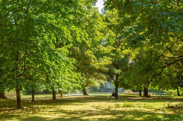 3 sypialnia Mieszkanie na sprzedaż w Pampeluna z garażem - 285 000 € (Ref: 10005224)