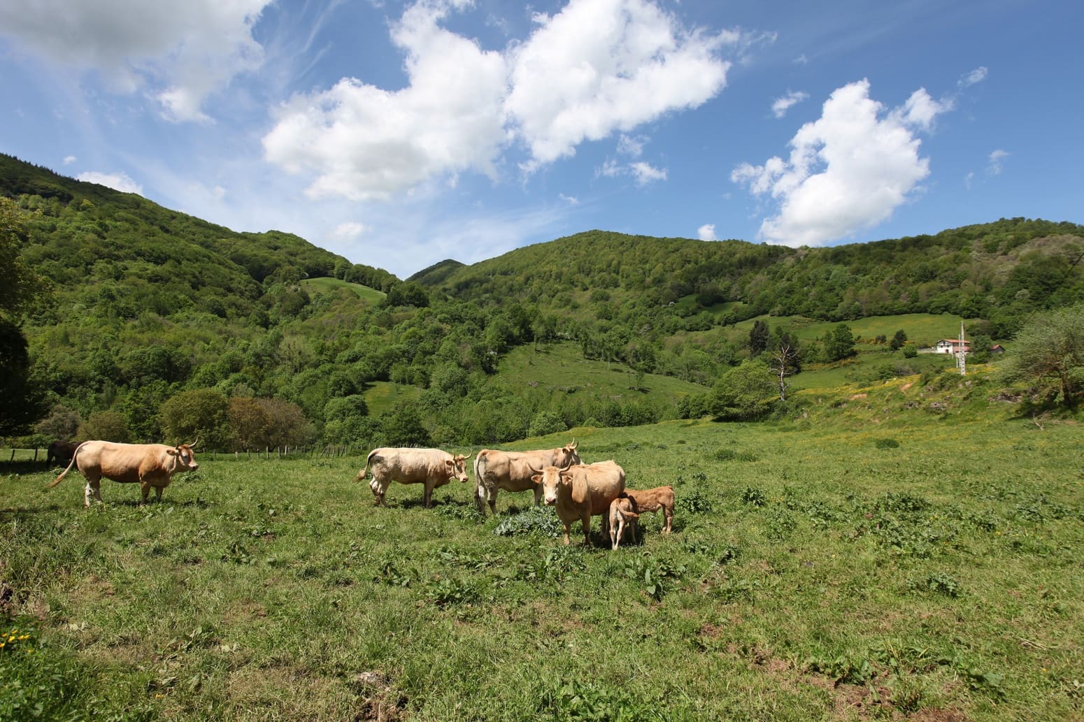 4 soveværelse Villa til salg i Basaburua med garage - € 650.000 (Ref: 5299422)