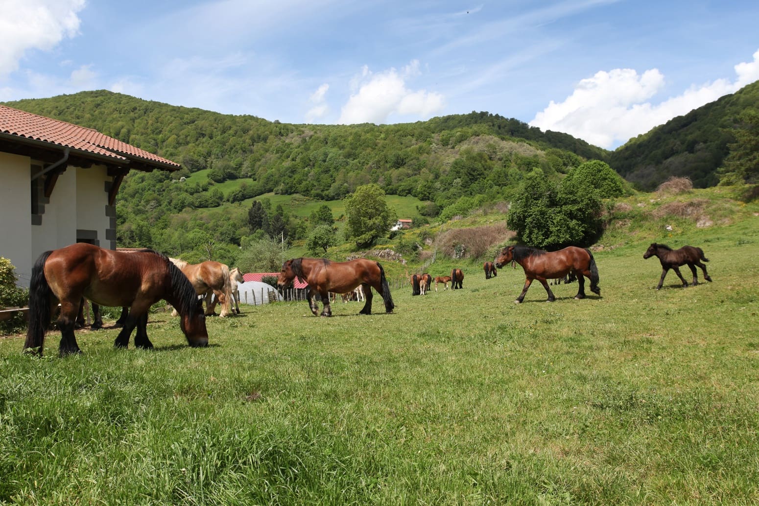4 soveværelse Villa til salg i Basaburua med garage - € 650.000 (Ref: 5299422)