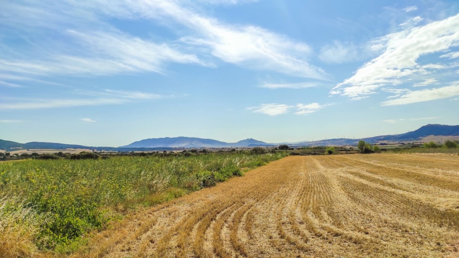 Bouwgrond te koop in Muruzabal - € 800.000 (Ref: 6643449)