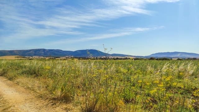 Bouwgrond te koop in Muruzábal - € 800.000 (Ref: 6643449)