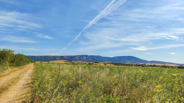 Bouwgrond te koop in Muruzábal - € 800.000 (Ref: 6643449)