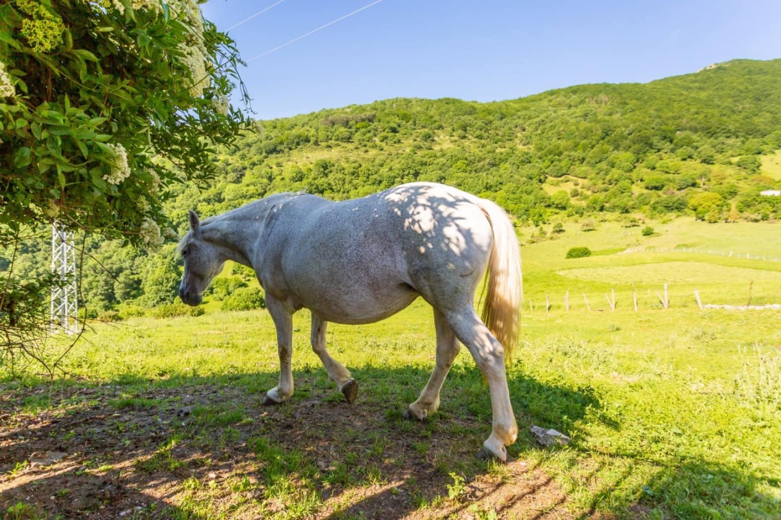 Byggegrund til salg i Imotz - € 79.900 (Ref: 6649772)