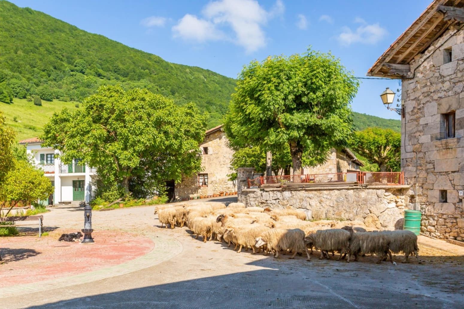 Byggegrund til salg i Imotz - € 79.900 (Ref: 6649772)