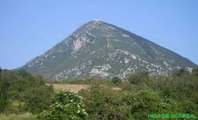 12 soveværelse Villa til salg i Monreal - € 390.000 (Ref: 7016527)