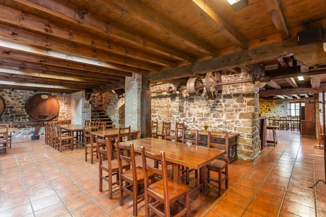 Villa til salg i Aoiz / Agoitz - € 575.000 (Ref: 7187388)