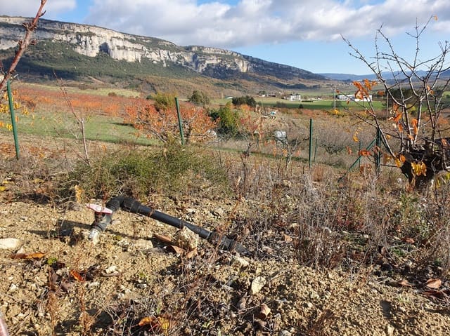 Byggegrund til salg i Echarri - € 24.900 (Ref: 7298766)