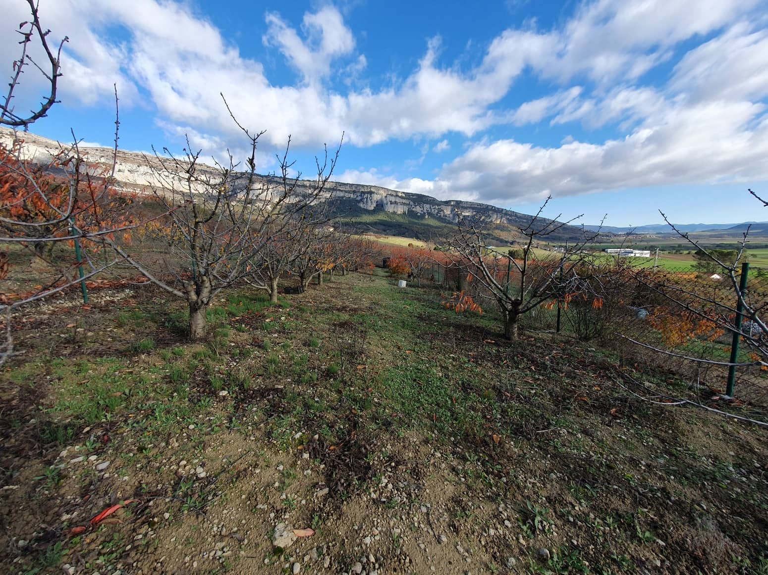 Byggegrund til salg i Echarri - € 24.900 (Ref: 7298766)