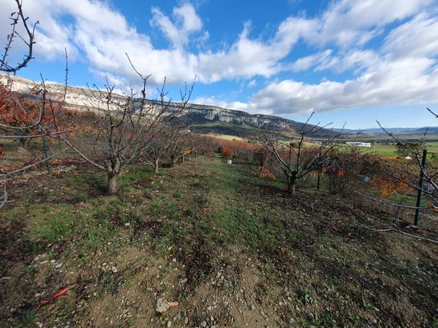 Byggegrund til salg i Echarri - € 24.900 (Ref: 7298766)