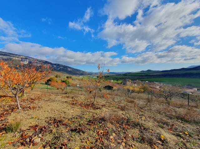 Byggegrund til salg i Echarri - € 24.900 (Ref: 7298766)