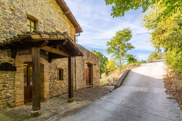 Business for sale in Aoiz / Agoitz - € 575,000 (Ref: 7513388)