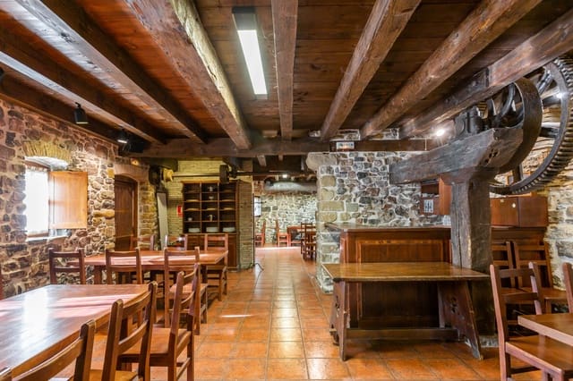 Business for sale in Aoiz / Agoitz - € 575,000 (Ref: 7513388)