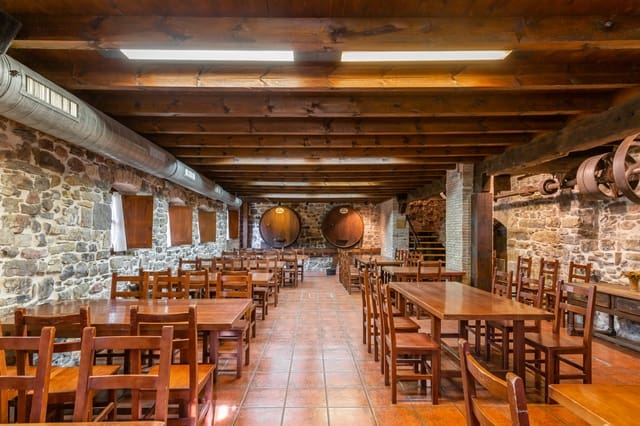 Business for sale in Aoiz / Agoitz - € 575,000 (Ref: 7513388)