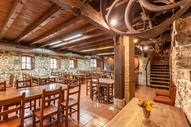 Business for sale in Aoiz / Agoitz - € 575,000 (Ref: 7513388)