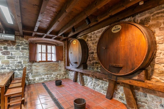 Business for sale in Aoiz / Agoitz - € 575,000 (Ref: 7513388)