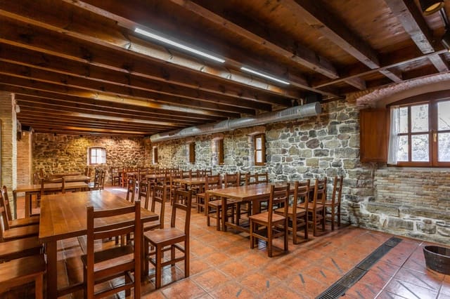 Business for sale in Aoiz / Agoitz - € 575,000 (Ref: 7513388)