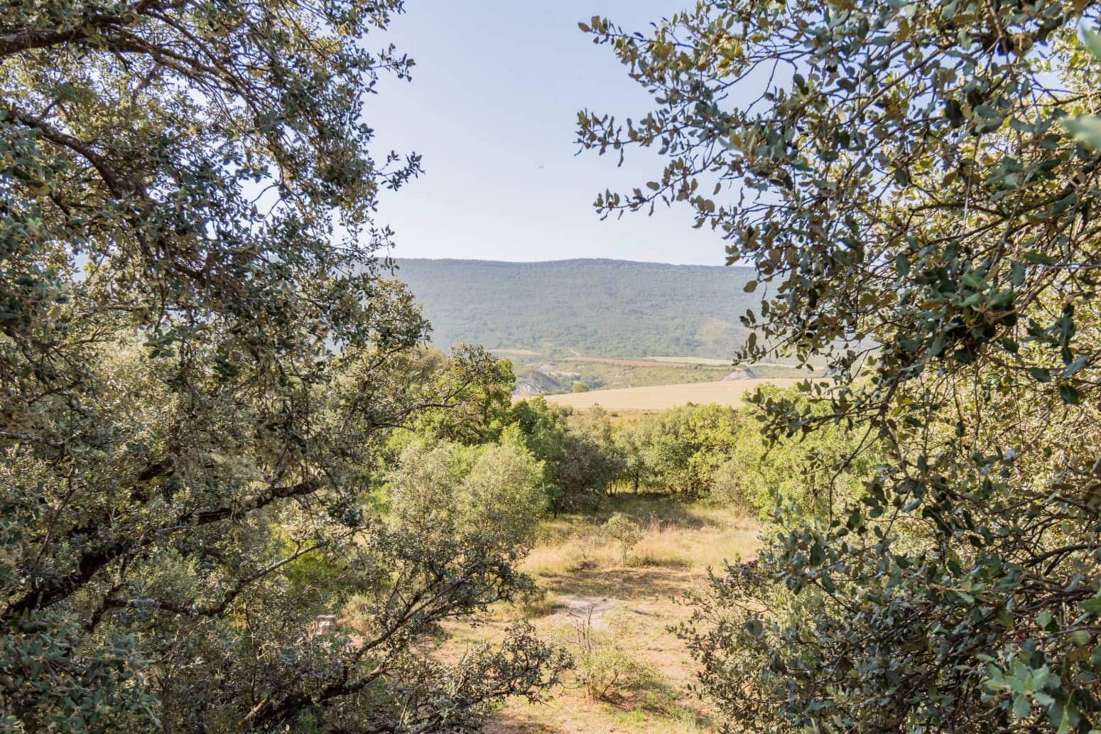 9 sypialnia Willa na sprzedaż w Artieda z garażem - 220 000 € (Ref: 7748147)