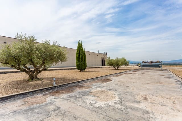 Commercial for sale in San Adrián - € 2,580,000 (Ref: 8308187)