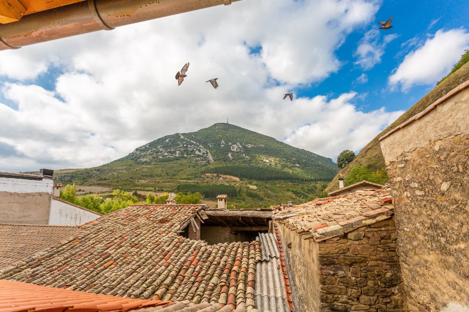 4 soveværelse Villa til salg i Monreal - € 195.000 (Ref: 8533744)