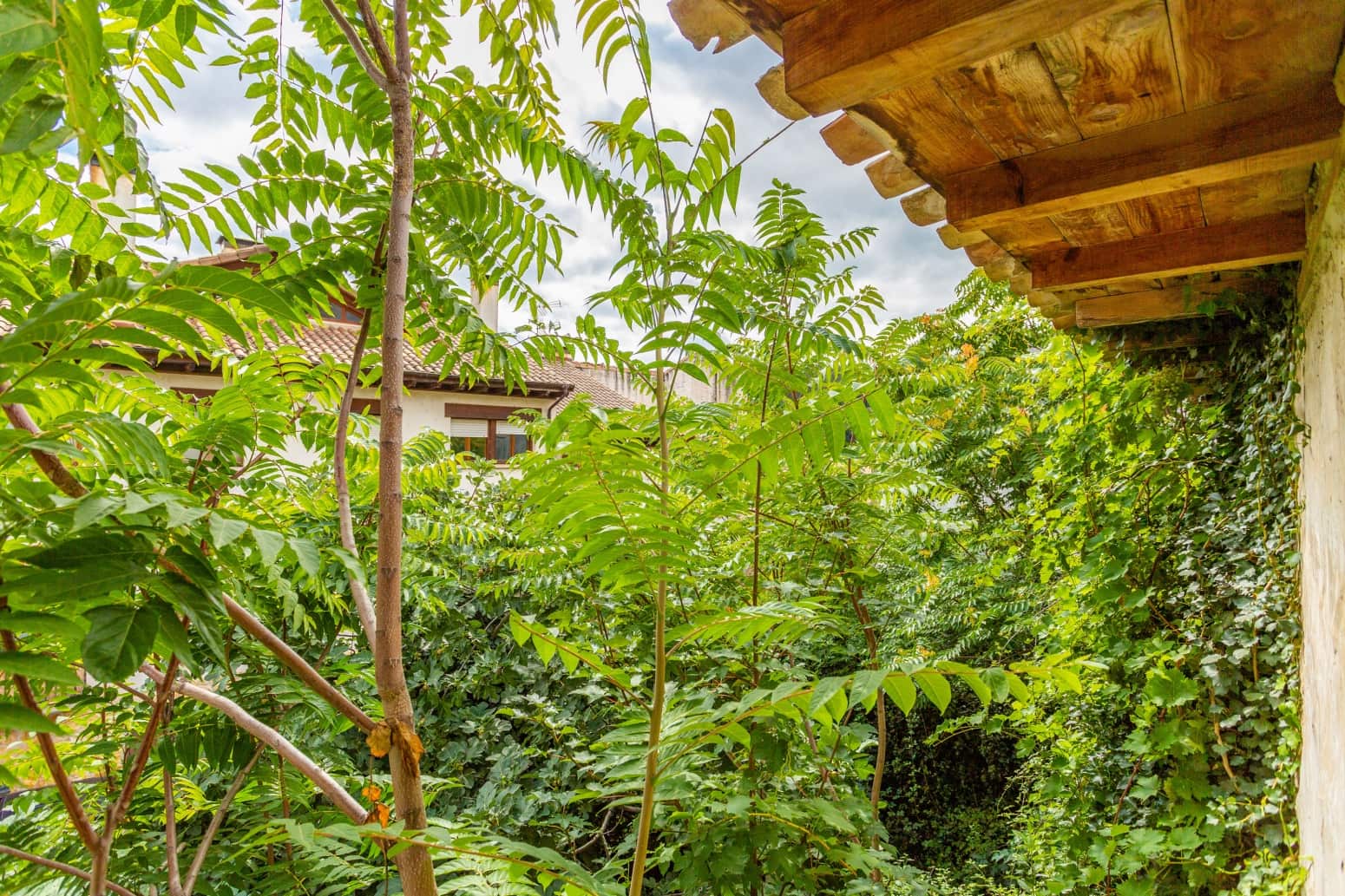 6 soveværelse Villa til salg i Monreal - € 195.000 (Ref: 8533745)