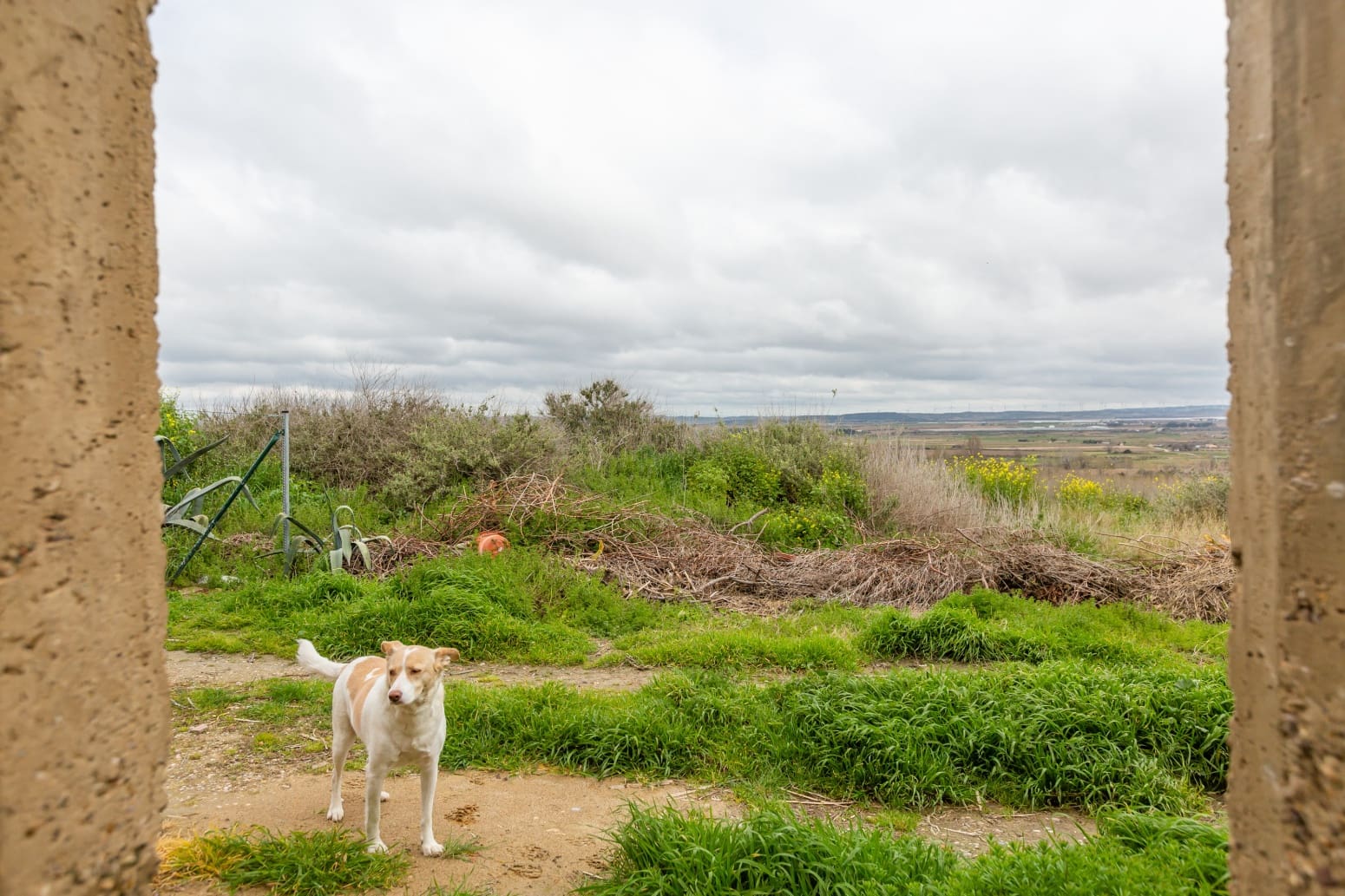 6 soveværelse Villa til salg i Milagro - € 99.500 (Ref: 8905285)